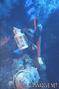 foto de buceo