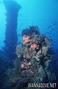 foto de buceo
