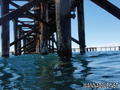 foto de buceo