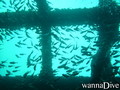 foto de buceo