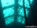 foto de buceo