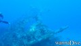 foto de buceo