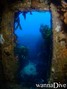 foto de buceo