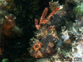 foto de buceo