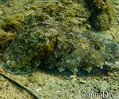 foto de buceo