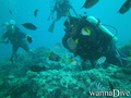 foto de buceo