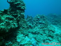 foto de buceo