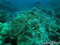 foto de buceo