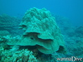 foto de buceo