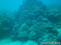 foto de buceo