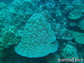 foto de buceo