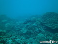 foto de buceo