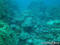 foto de buceo
