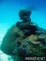 foto de buceo