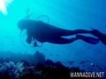 foto de buceo