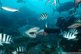 foto de buceo