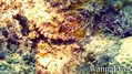 foto de buceo