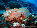 foto de buceo