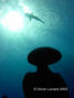 foto de buceo