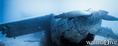 foto de buceo