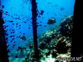 foto de buceo