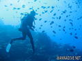 foto de buceo