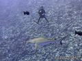 foto de buceo