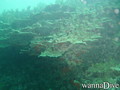 foto de buceo