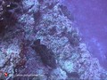 foto de buceo