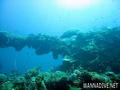 foto de buceo