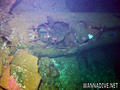 foto de buceo