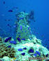 foto de buceo