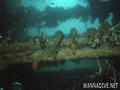 foto de buceo