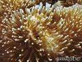 foto de buceo