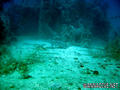 foto de buceo
