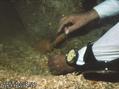 foto de buceo