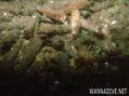 foto de buceo