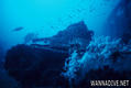 foto de buceo
