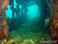foto de buceo
