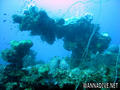 foto de buceo