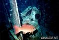foto de buceo