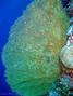 foto de buceo