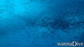 foto de buceo