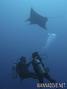 foto de buceo