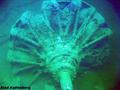 foto de buceo