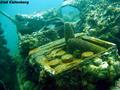 foto de buceo