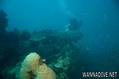 foto de buceo