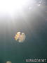foto de buceo
