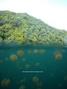 foto de buceo