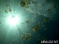 foto de buceo